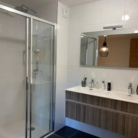 Apartment 6 Pers Avec Balcons, Garage Et Local A - Fr-1-198-238 Chatel