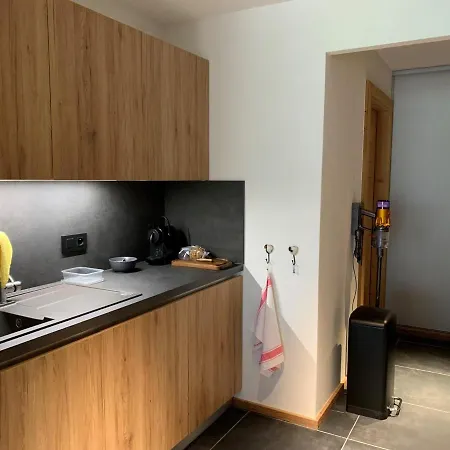 6 Pers Avec Balcons, Garage Et Local A - Fr-1-198-238 Apartment