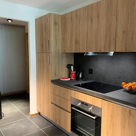 Apartment 6 Pers Avec Balcons, Garage Et Local A - Fr-1-198-238 *