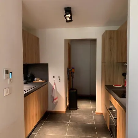 Apartment 6 Pers Avec Balcons, Garage Et Local A - Fr-1-198-238