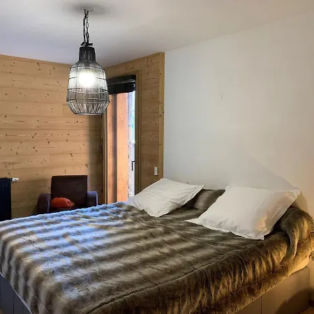 6 Pers Avec Balcons, Garage Et Local A - Fr-1-198-238
